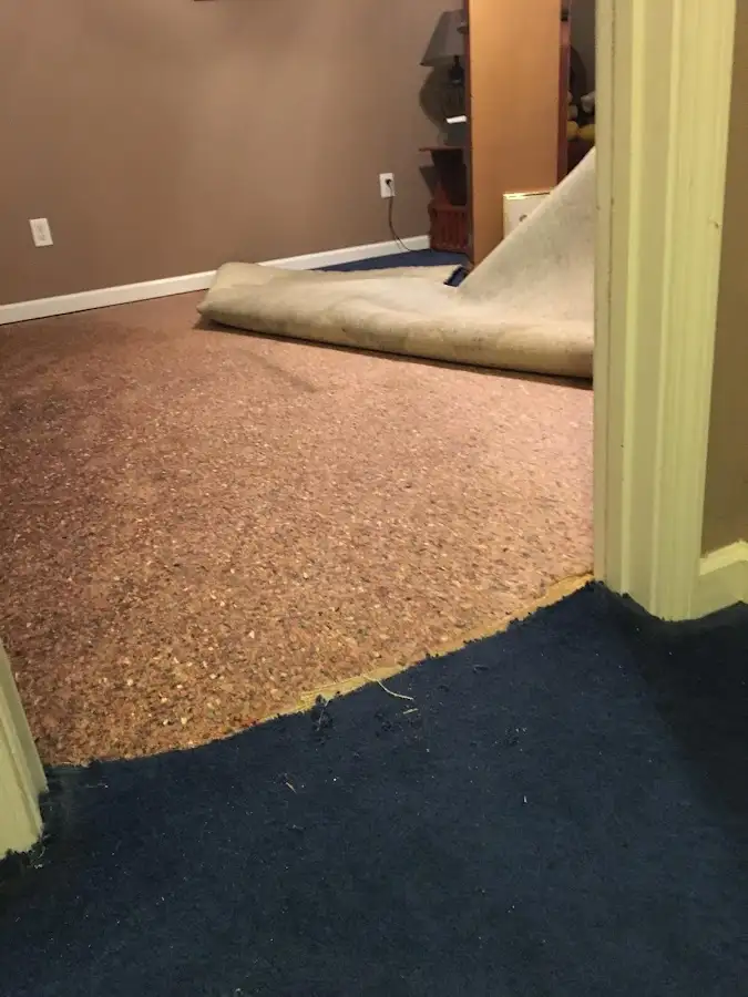 Carpet pad removal revealing water damage during Water Mitigation Services in Ludlow